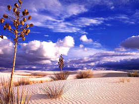 HQ Landscape Wallpapers