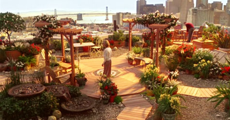 El jardín diseñado por David para Elizabeth en Ojalá fuera cierto - Cine de Escritor El jardín diseñado por David para Elizabeth en Ojalá fuera cierto - Cine de Escritor