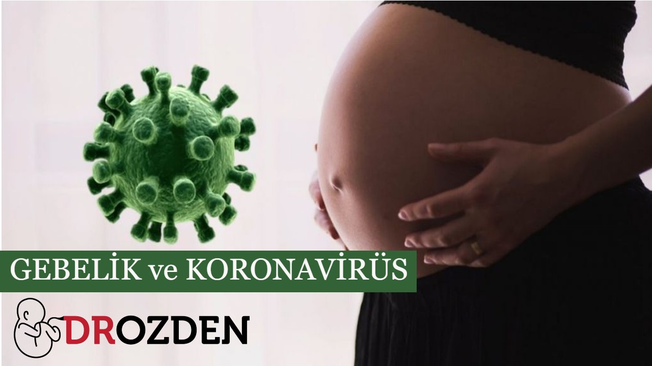 Op Dr Adem Ozden Koranavirus Ve Gebelik