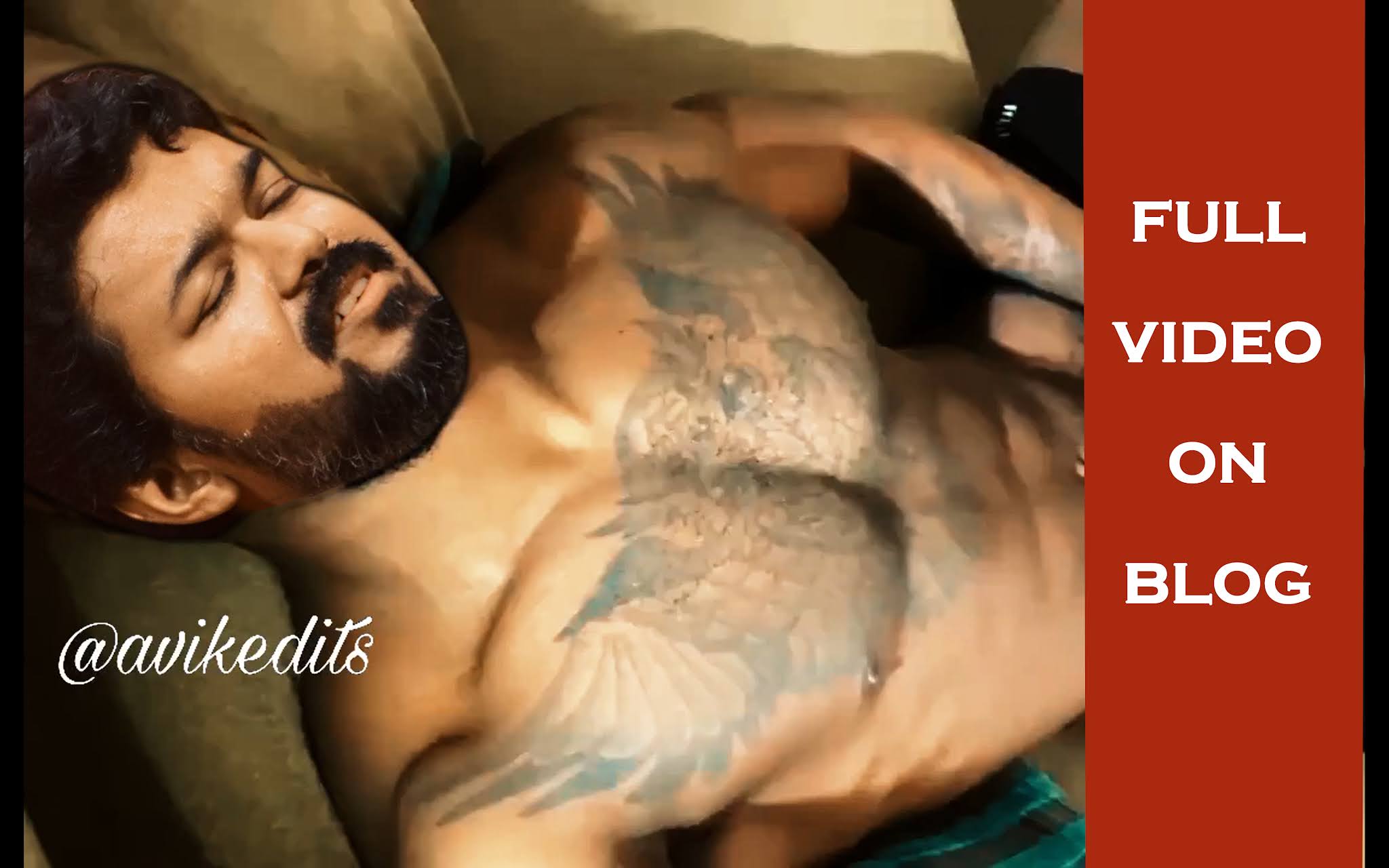 Vijay's leaked video