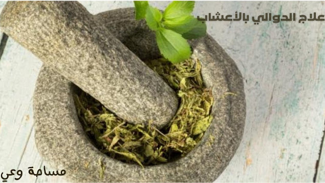 علاج الدوالي بالأعشاب أسباب وطرق علاج الدوالي