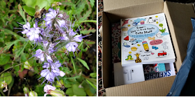 A bee on a flower and a box of books for my youngest girls birthday next month