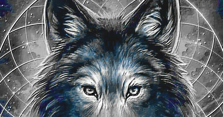 Shadow1985Bird: Wolf Night