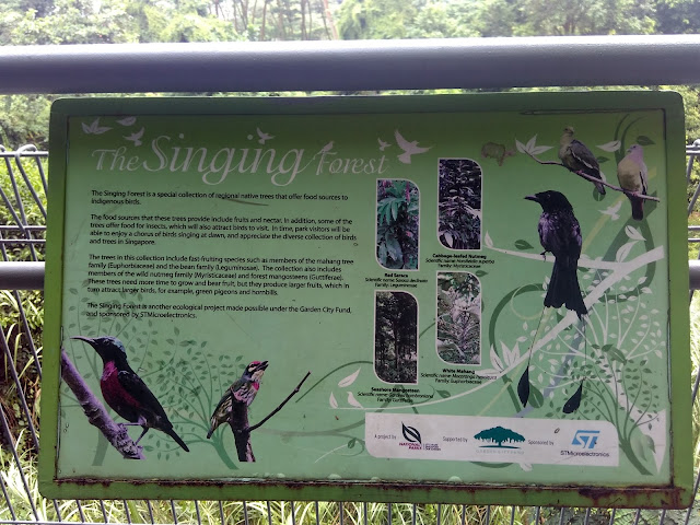 hutan singapura