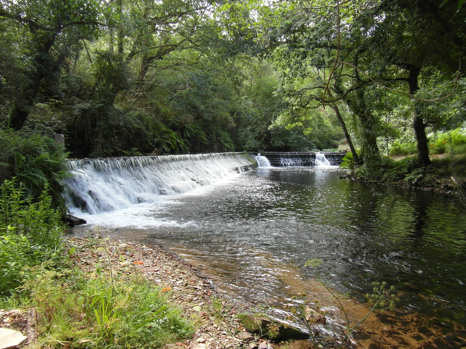 Rutas de León con buen ánimo: RUTA DEL RÍO OURO (FOZ- LUGO)