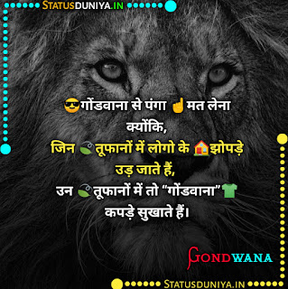 Gondwana Attitude Status 2021 & गोंडवाना सरकार स्टेटस, 😎गोंडवाना से पंगा ☝️मत लेना क्योंकि, जिन 🍃तूफानों में लोगो के 🏠झोपड़े उड़ जाते हैं,   उन 🍃तूफानों में तो “गोंडवाना”👕कपड़े सुखाते हैं।