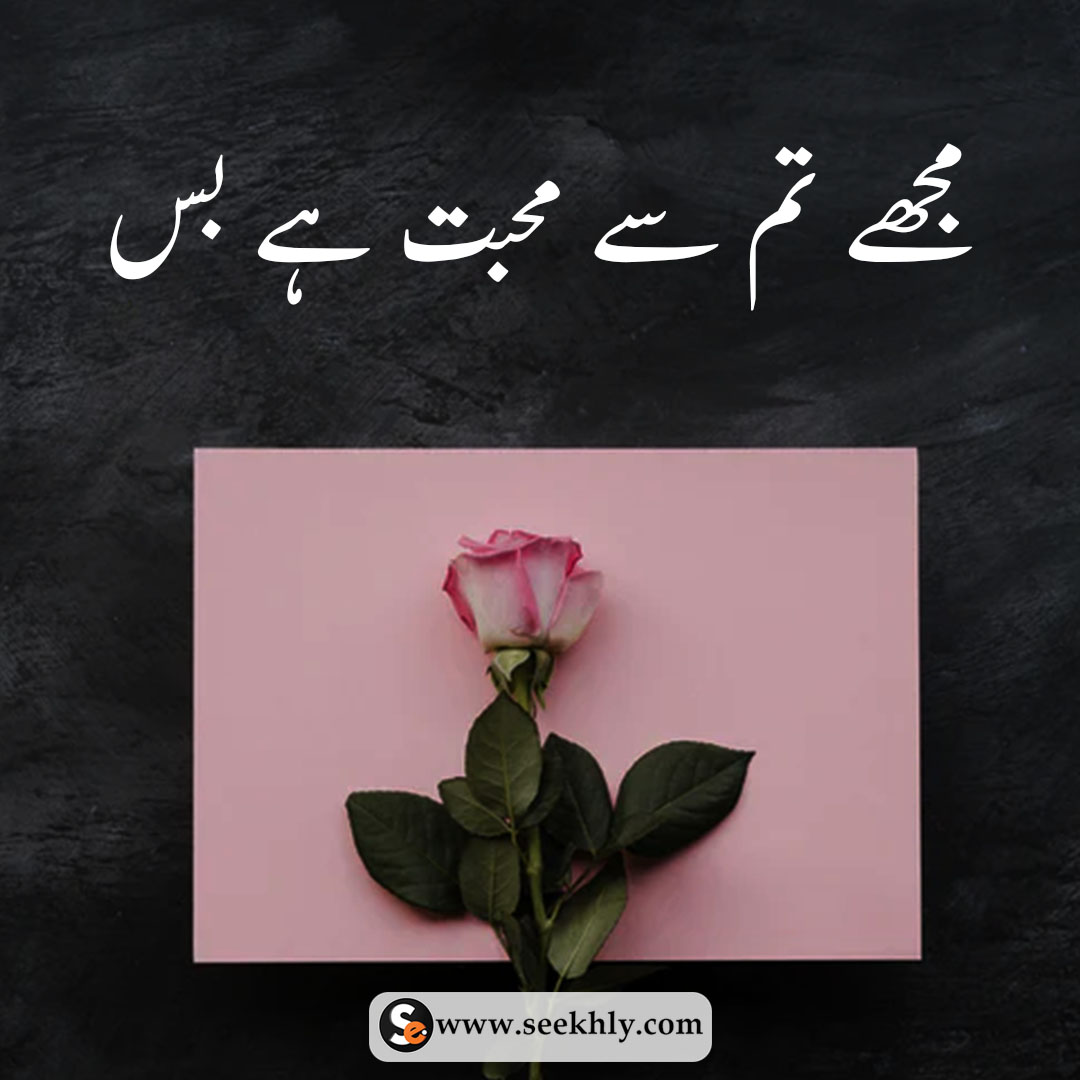 Featured image of post Status Attitude Quotes In Urdu - For this they are searching islamic status due to this we are sharing one of the best collection of islamic quotes &amp; islamic status with perfect reference and hd islamic images.