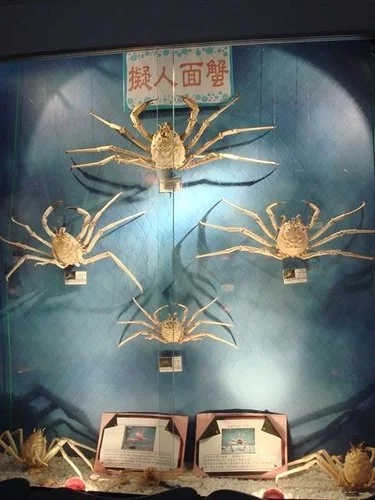 北關休閒農場 台灣螃蟹博物館