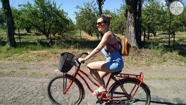 orange bike maipu mendoza