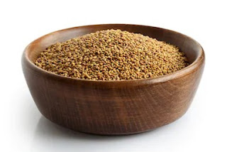 Alfalfa get better results by following simple 6 steps Alfalfa seeds