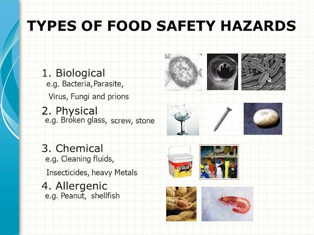 The 4 Food Safety Hazards