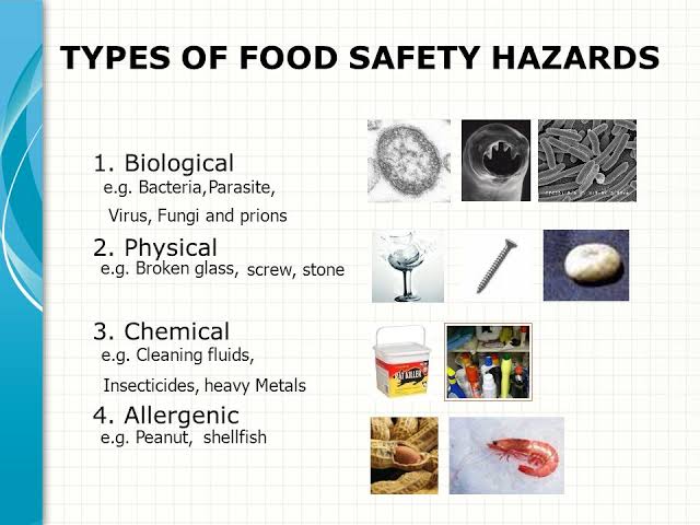 fast food health hazard essay