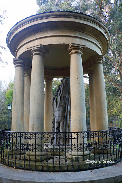 Árbol de Guernica