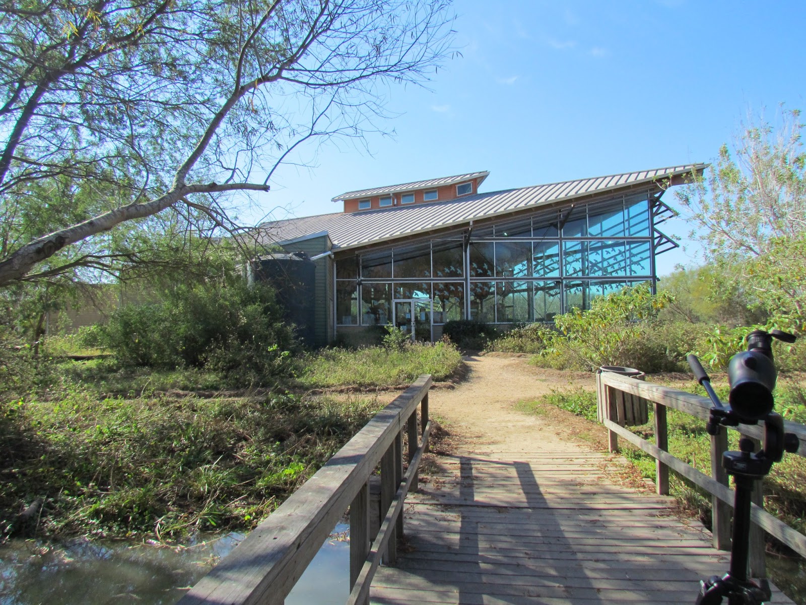 Around the Bend: Birding the Lower Rio Grande Valley: Part 2