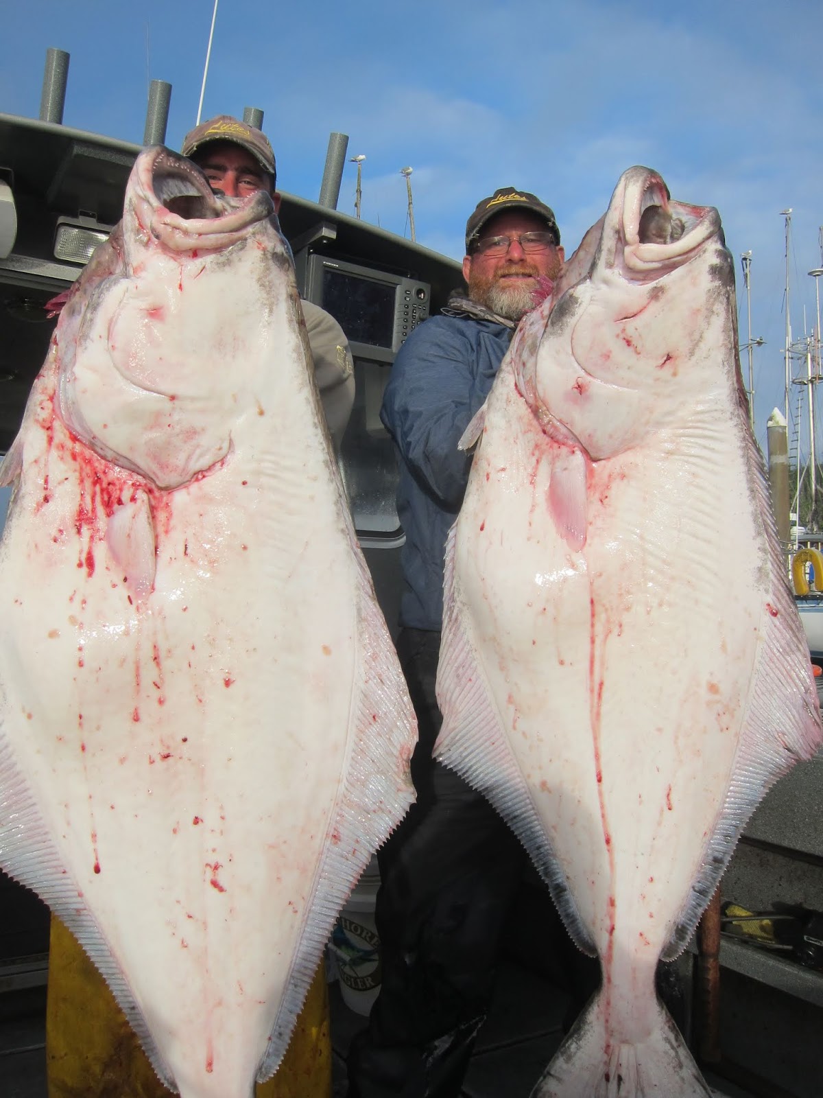 Todds Extreme Fishing Neah bay monster halibut, monster lingcod, and