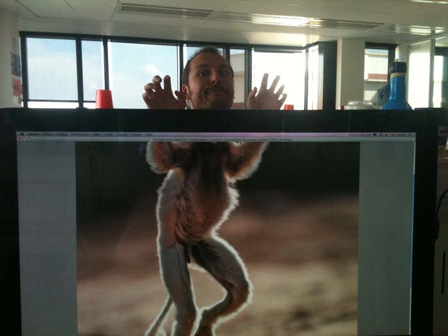 desk safari  imagenes increibles