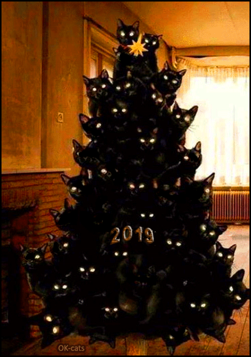 Art Christmas GIF • OMG! Amazing...35 flashing black cats in the Christmas tree. Purrfect Xmas ornament for Crazy cat lady Art Christmas GIF • OMG! Amazing...35 flashing black cats in the Christmas tree. Purrfect Xmas ornament for Crazy cat lady