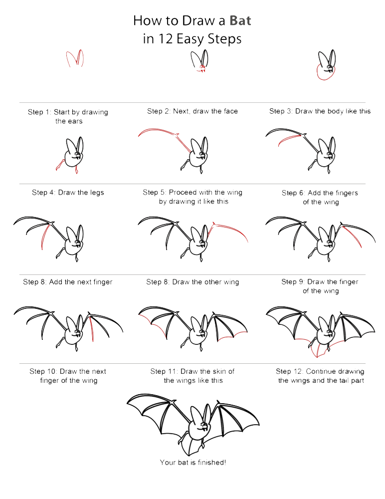 How to Draw Bat - How to Draw Animal