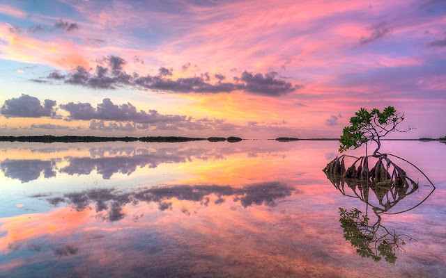Kari LikeLikes: Key West Sunset #nature #beach