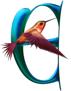 Abecedario de Colibrí. Hummingbird Alphabet.