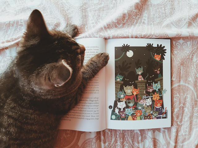 Bíró Zsófia – A ​macska mondja meg! [Mit egyél és mit ne] könyv belső illusztrációja, megjelent a BOOOK Kiadó gondozásában, Kátya cica közreműködésével