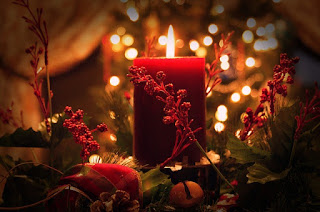professional christmas light installers Ann Arbor