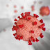 La società israeliana Pluristem afferma di aver trovato la cura di  100%  successo contro coronavirus