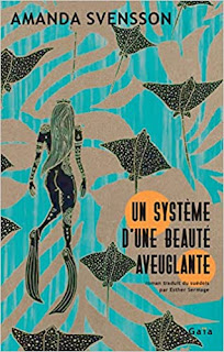 Un système d’une beauté aveuglante – Amanda Svensson