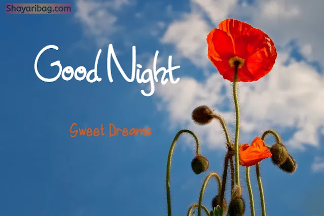Good Night Flowers Images HD Good Night Flowers Images HD