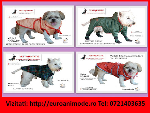 Oferte pentru iarna