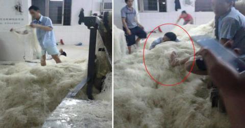 Pabrik Bihun Serba Hijau