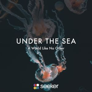 Under the Sea