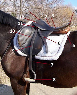 Устройство лошадиного седла Устройство седла для лошади