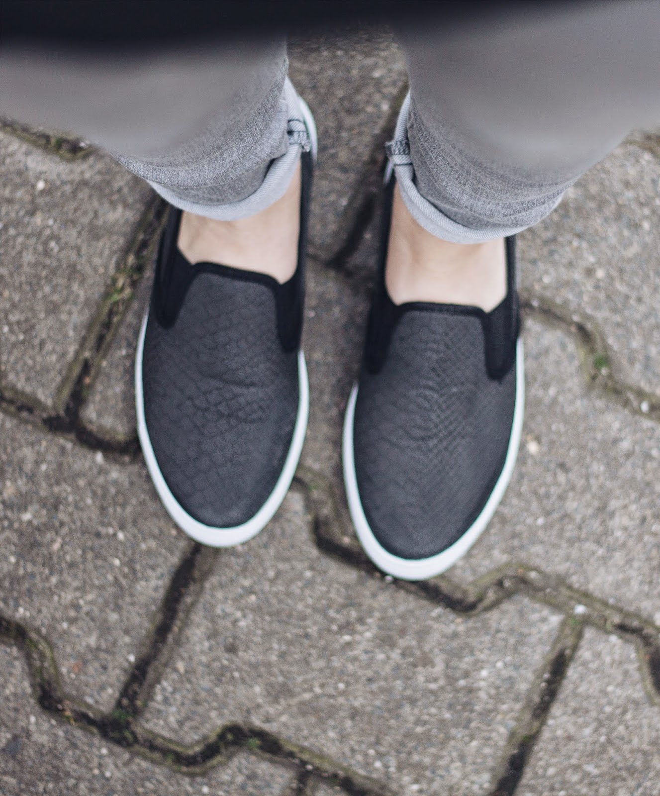 The Plimsolls Juliana's Journal