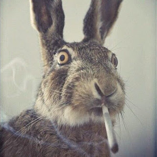 Purple Hase