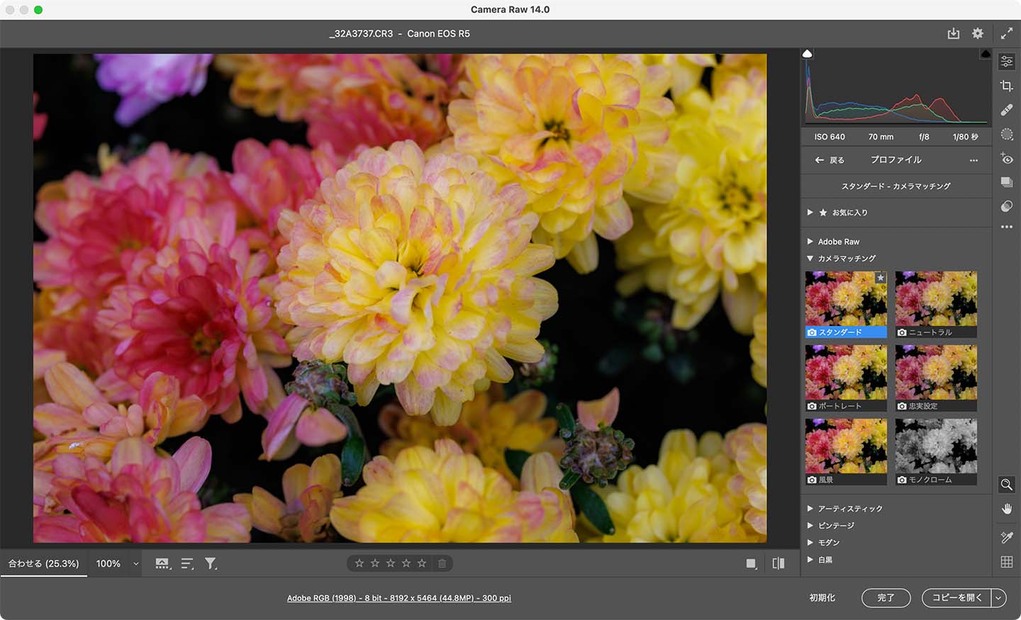 Adobe Camera RAW 14.0での現像にて念願の Canon EOS R5 のピクチャースタイルに対応