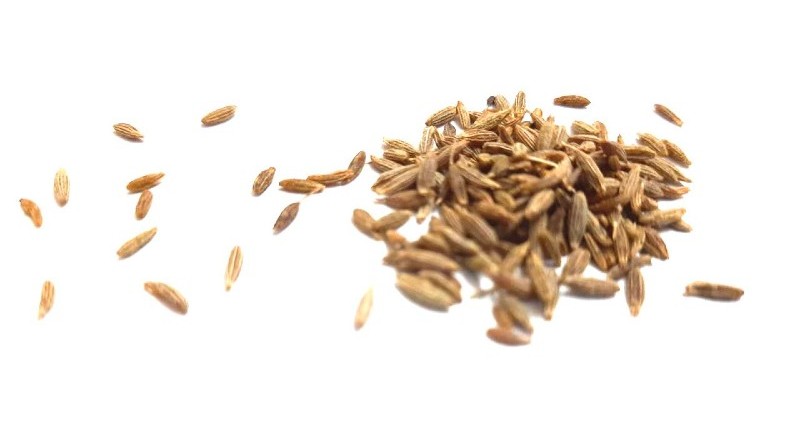 cumin increase breast milk
