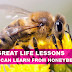 8 Lessons Honeybees Teach Us thumbnail