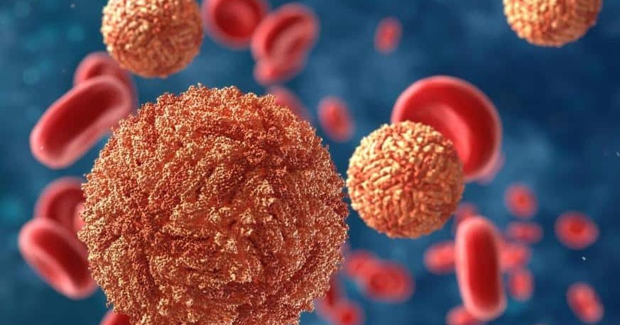 Cold Virus Cancer Treatment CancerOz