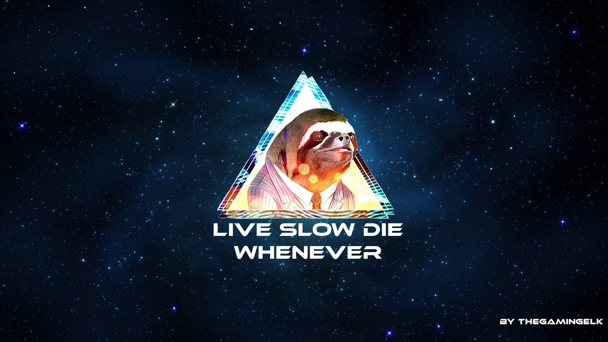 Sloth Wallpapers Sloth Wallpapers
