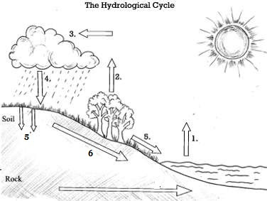  kali ini saya akan coba berikan contoh soal ulangan harian geografi bab hidrosfer Contoh Soal Ulangan Geografi Bab Hidrosfer