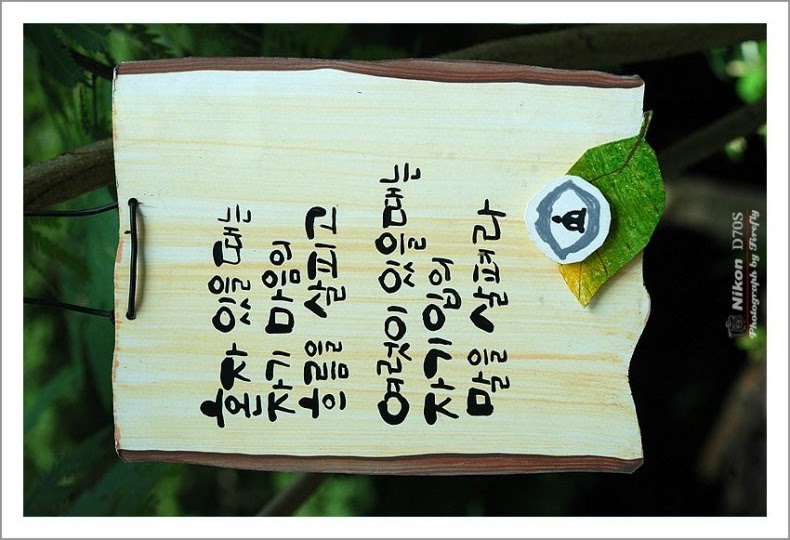 소스 이미지 보기