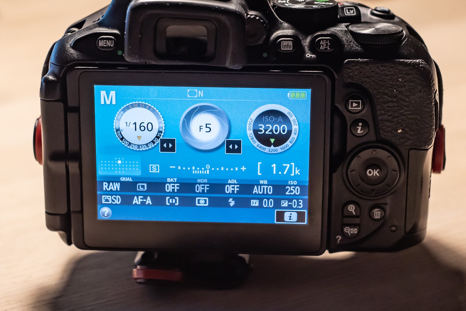 Nikon D5600: How to use manual exposure? – frederikboving