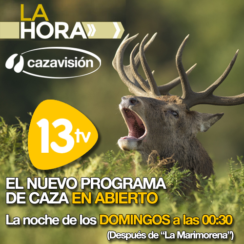 Monteros. El blog de la montería