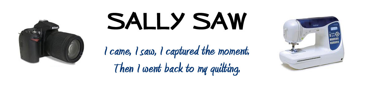 Sally Saw...