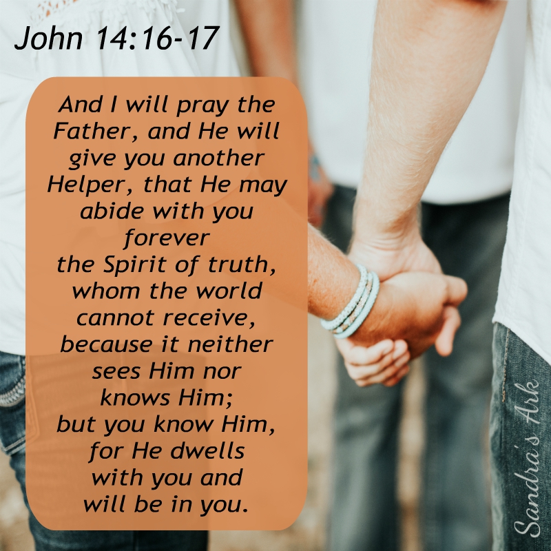 Sandra's Ark 10 Bible Verses of Encouragement When We Need Comfort