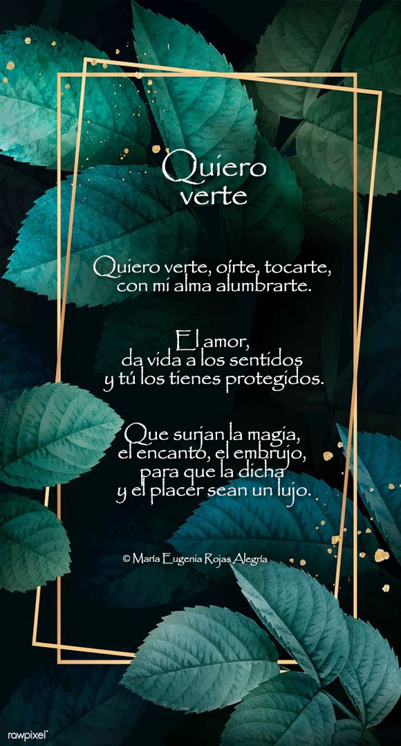 Ver las imágenes de origen