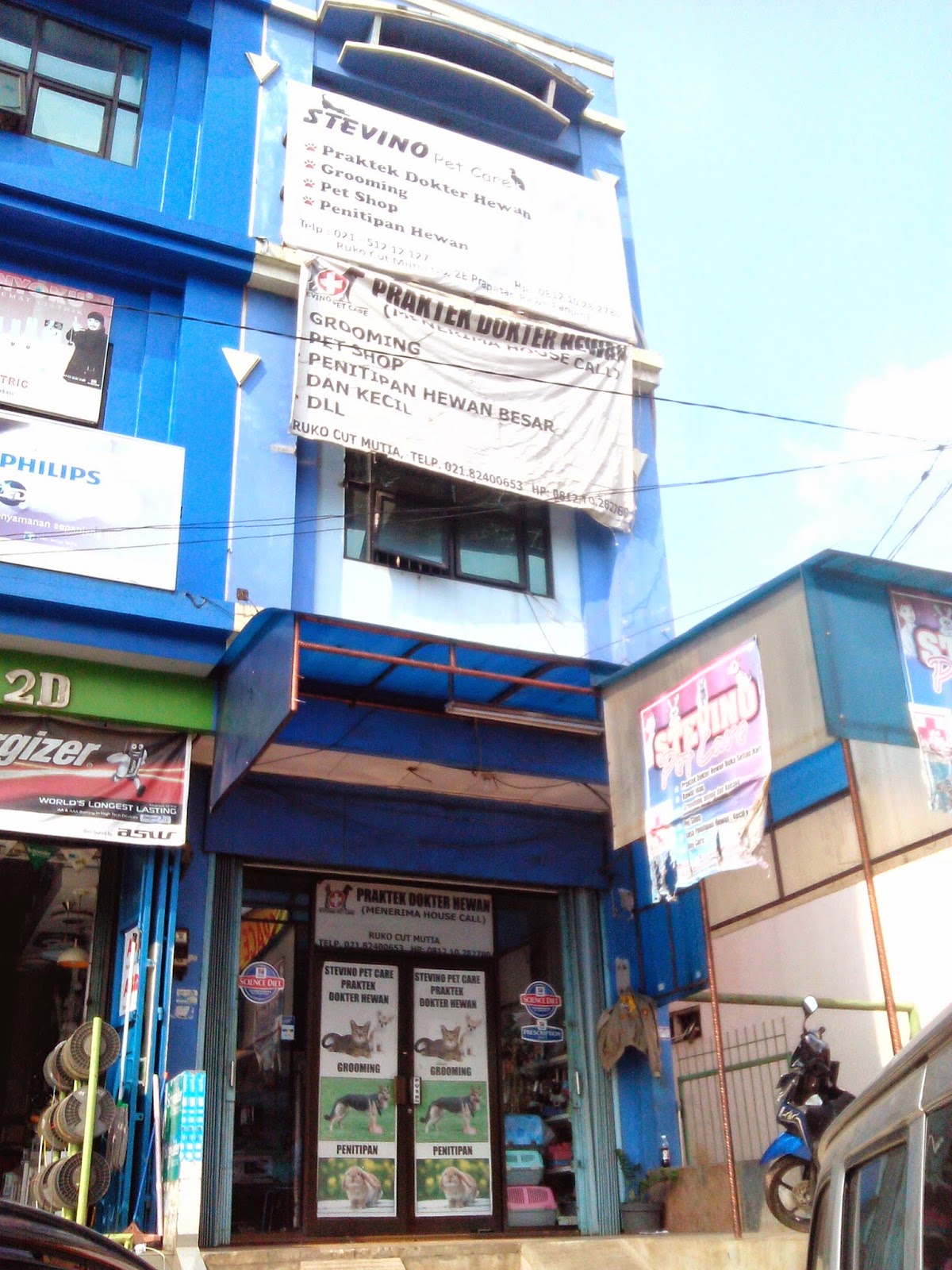 Mereka dititipkan di pet shop untuk dijual Kedua anak ketrin dalam hitungan hari sudah berpindah tangan Tapi Ketrin tak ada seorang pun yang mau membeli