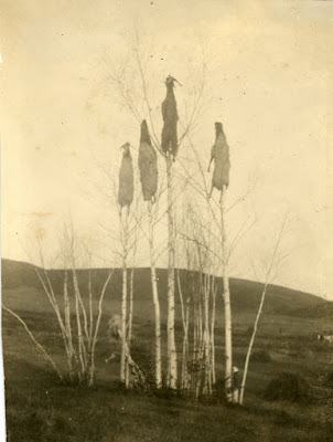 Image © and courtesy of Diana Burns