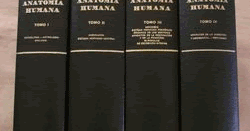 Testut Testut